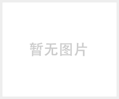 PT-XD100袖珍式一氧化碳报警器