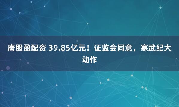 唐股盈配资 39.85亿元！证监会同意，寒武纪大动作