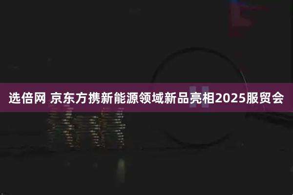 选倍网 京东方携新能源领域新品亮相2025服贸会