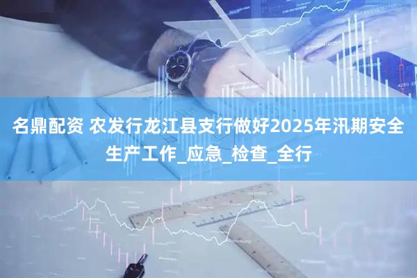 名鼎配资 农发行龙江县支行做好2025年汛期安全生产工作_应急_检查_全行