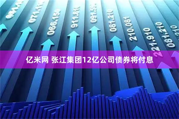 亿米网 张江集团12亿公司债券将付息
