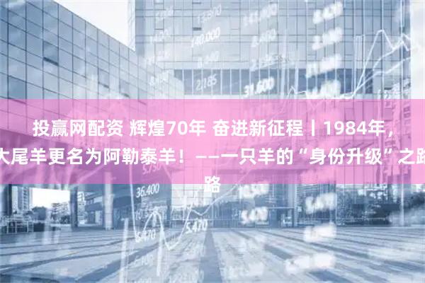 投赢网配资 辉煌70年 奋进新征程丨1984年，大尾羊更名为阿勒泰羊！——一只羊的“身份升级”之路